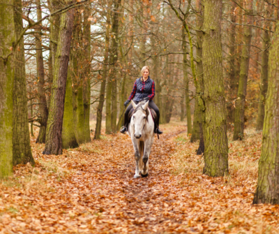 Wanderreit-Touren im Herbst: Eine perfekte Gelegenheit für Pferd und Reiter