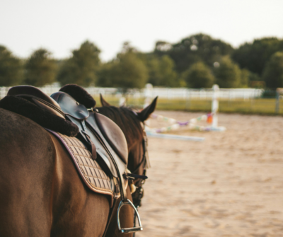 Wie helfen Paddockplatten meinem Reitplatz?