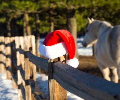 Frohe Weihnachten und ein herzliches Dankeschön von novus:HM!